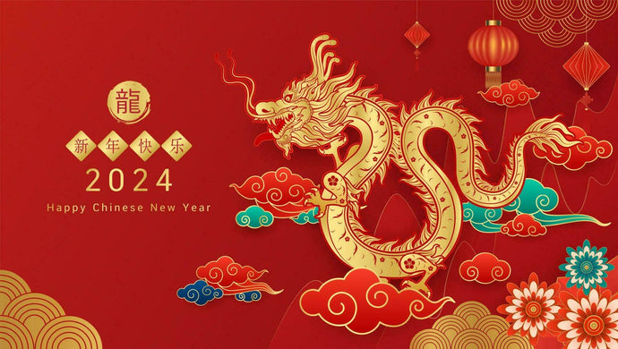 Shipping Pause from Feb 2 till Feb 18 Due to Chinese New Year 2024